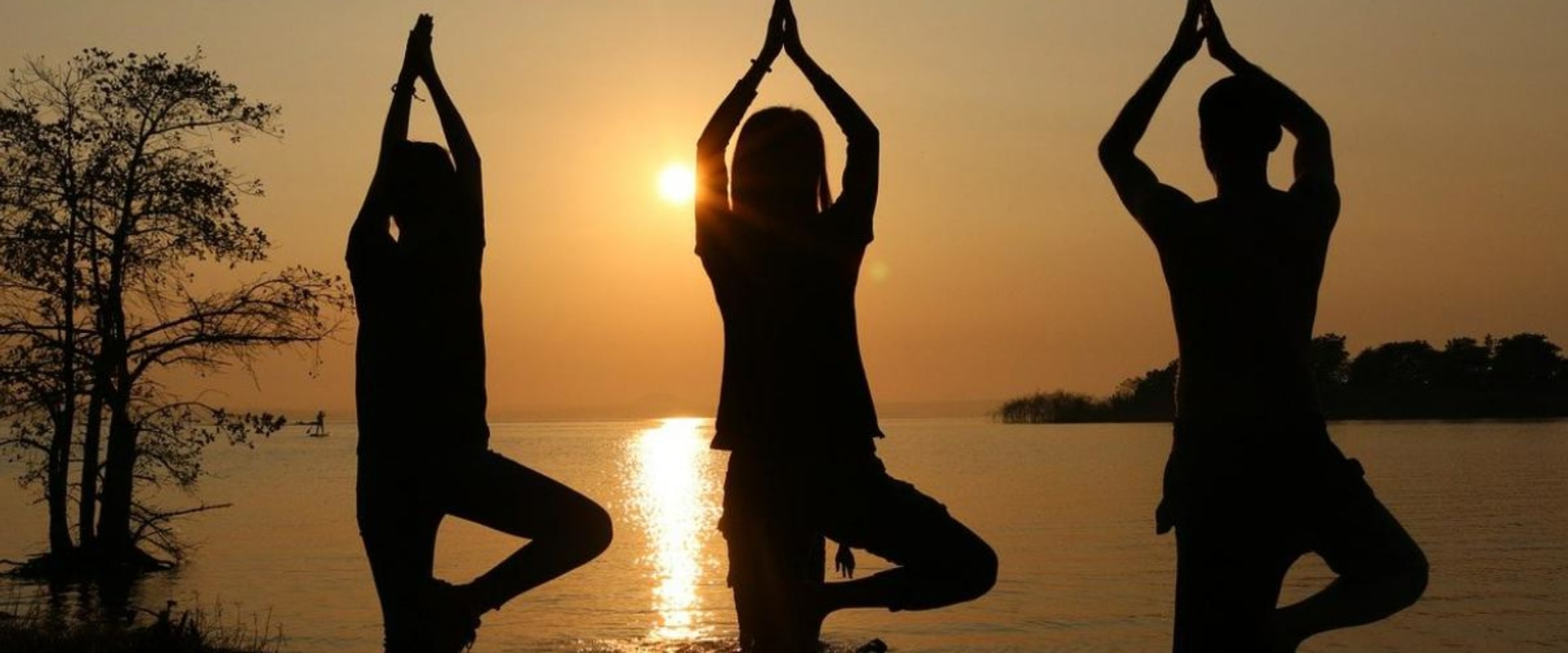 When was national yoga day celebrated?