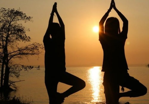 When was national yoga day celebrated?